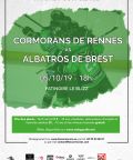 LES ALBATROS - BREST 2